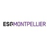 école Montpellier - Ecole supérieure de gestion, commerce et finance