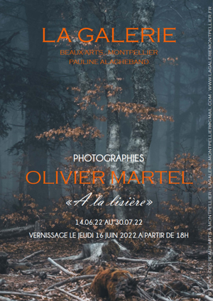 EXPO PHOTOS "A la lisère" Paysages - Olivier Martel, artiste photographe