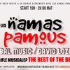 affiche Concert Namas Pamous