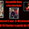 affiche Coccodrillo Blues en concert