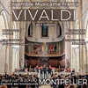 affiche Concert à Montpellier : Les 4 Saisons de Vivaldi, Requiem de Mozart, Ave Maria de Schubert, Dvořák, Bach